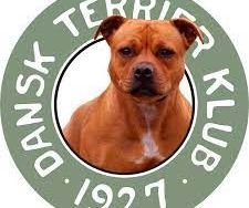 Dansk Terrier Klub